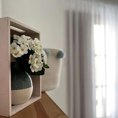 Apartamento Muy Centrico En グラナダ エクステリア 写真